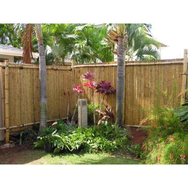 MGP Tonkin Bamboo Fencing & Reviews Wayfair